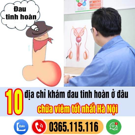 Top 10 địa chỉ khám đau tinh hoàn ở đâu chữa tốt nhất Hà Nội