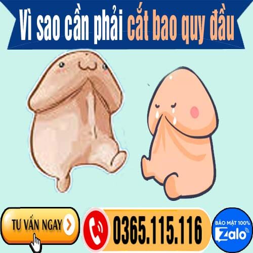 Vì sao cần phải cắt bao quy đầu? Khi nào nên phẫu thuật cắt